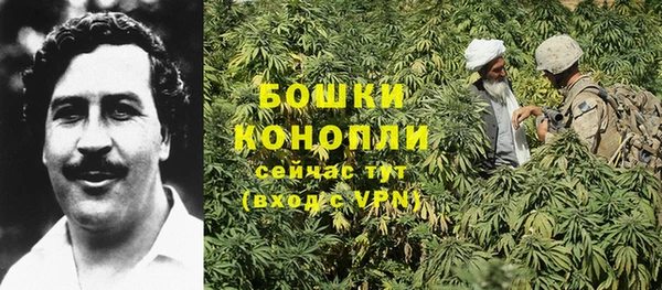 экстази Вяземский