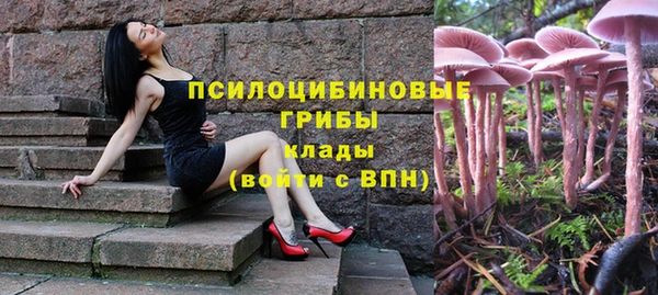 mix Вязьма